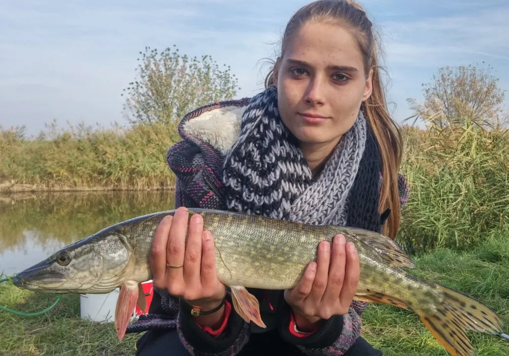 Ismerkedésünk a csukahorgászattal