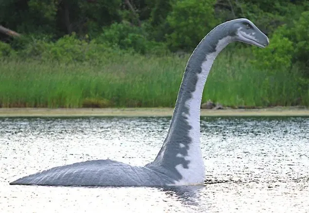 ZSINEGMITOLÓGIA #2 – LOCH NESS (NAGY)HALAI